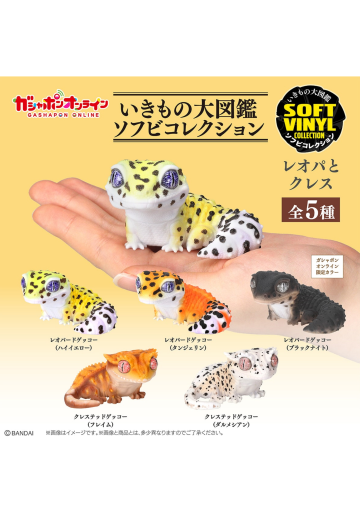 生物大图鉴 软胶收藏系列 豹纹守宫与睫角守宫 | Hpoi手办维基