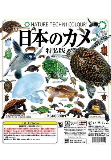 NTC 日本海龟 特装版