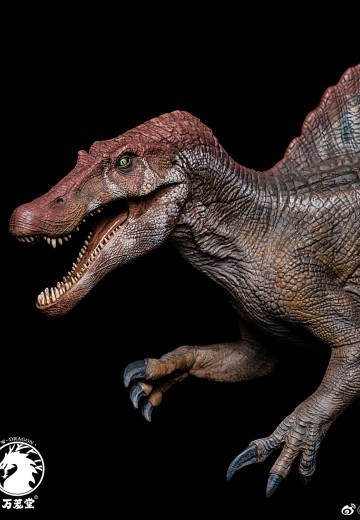 万茏堂 棘龙 1:35模型 | Hpoi手办维基