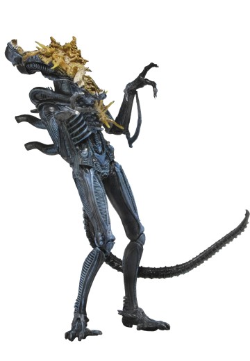 《异形》第十二系列 - 战损版异形战士7英寸比例可动人偶（蓝色） | Hpoi手办维基