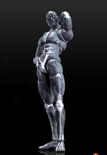 《Human Muscle Model》1:12超可动人偶 灰色 | Hpoi手办维基