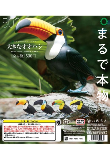 NTC 巨嘴鸟 | Hpoi手办维基