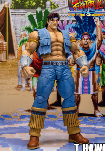 T·霍克 -  终极街霸2 | Hpoi手办维基
