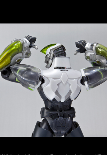 S.H.Figuarts 狂野猛虎 一分钟