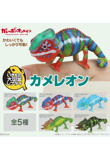 生物大图鉴 爬行类 变色龙 | Hpoi手办维基