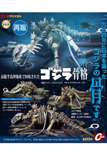 在房总半岛近海回收的哥斯拉骨骼 | Hpoi手办维基