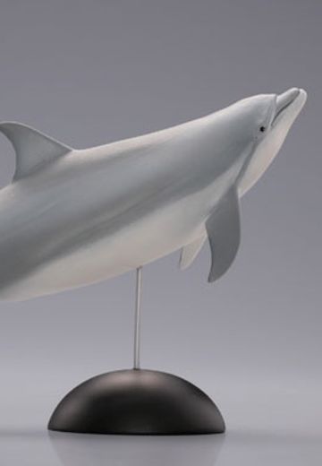 【水上精灵】海洋生物系列 Vol.1宽吻海豚【#1-001】 | Hpoi手办维基