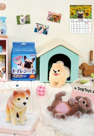 小小样品 狗狗作伴