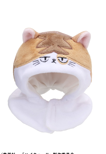 Look up 披风 排球少年 研磨猫 | Hpoi手办维基