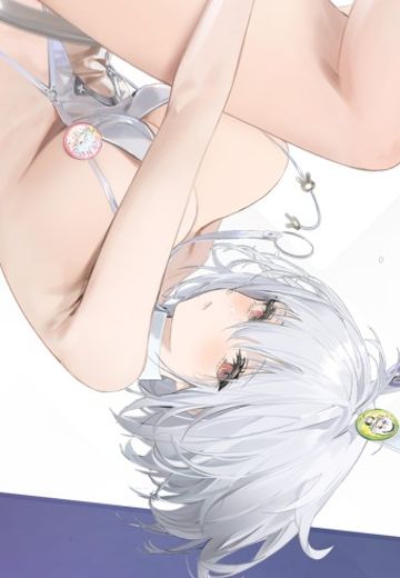 碧蓝航线 天狼星 至高乐园的白兔 | Hpoi手办维基