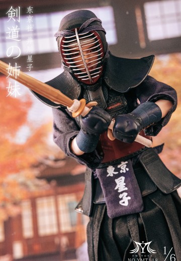 剑道少女 井川星子 | Hpoi手办维基