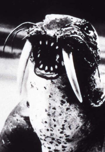 四次元怪兽 托托拉