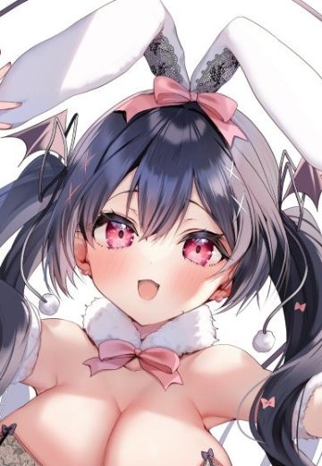 蕾丝兔女郎小恶魔 莉雅丝