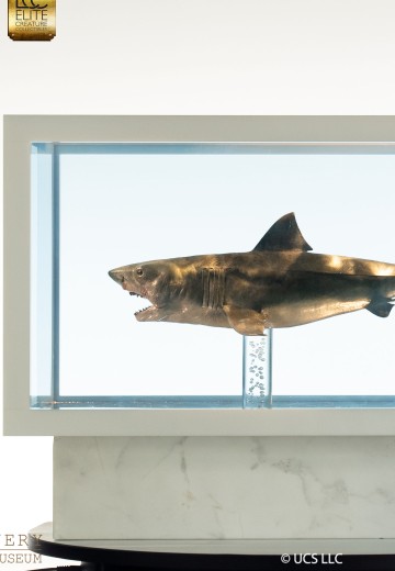 大白鲨 青铜雕像 1/18 比例 | Hpoi手办维基