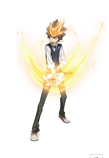 Look up 家庭教师 泽田纲吉