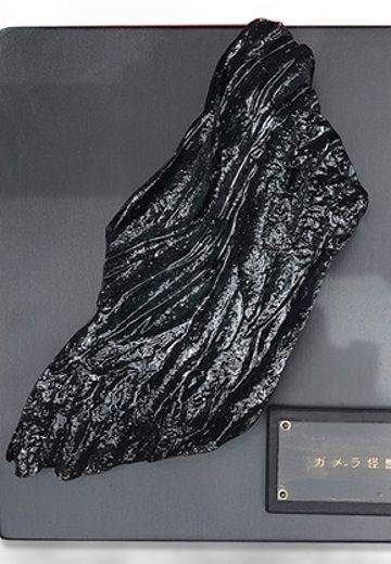 加美拉的表皮切片 | Hpoi手办维基