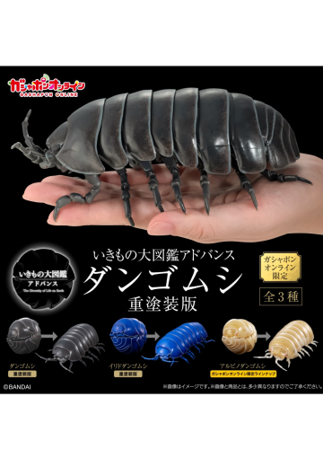 生物大图鉴 进阶版 西瓜虫（重涂装版） 线上扭蛋版