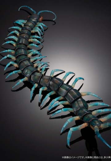 终极生物大图鉴系列 琉神大蜈蚣 | Hpoi手办维基