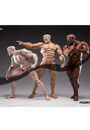 男素体β | Hpoi手办维基