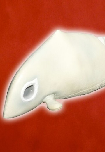 奥特大怪兽系列5000 加巴顿（A） | Hpoi手办维基