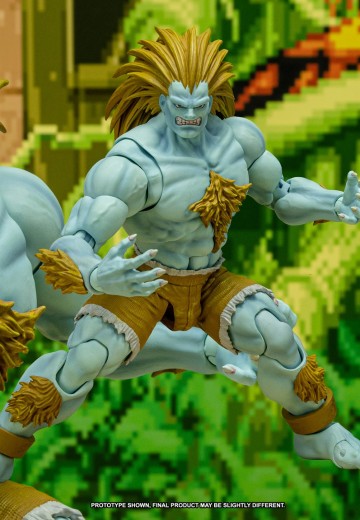 终极街霸2：最后的挑战者 布兰卡 限定版 | Hpoi手办维基