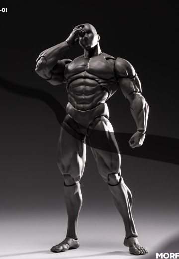 男素体β-灰质 | Hpoi手办维基