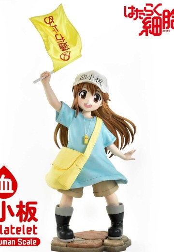 真人比例主线 工作细胞 血小板