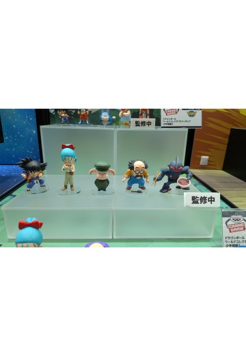 WCF 龙珠 少年期篇2