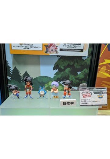 WCF 龙珠 少年期篇3