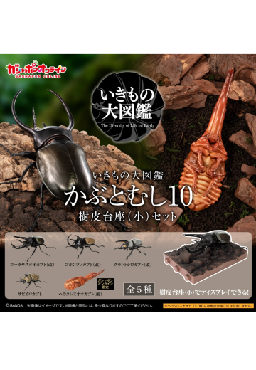 生物大图鉴　甲虫10　树皮台座（小）套装