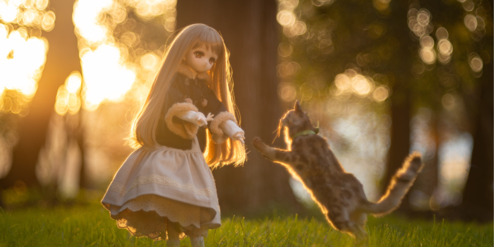 最近的一些娃片