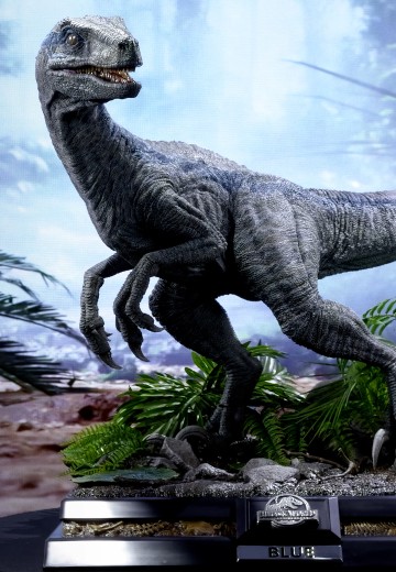 小蓝（Blue） 1/2 比例