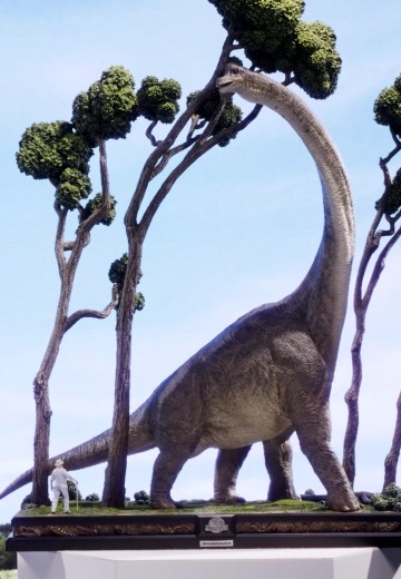 腕龙（Brachiosaurus） | Hpoi手办维基