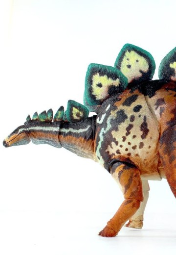 狭脸剑龙-可动玩偶