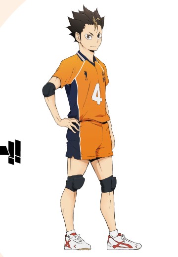 Look up 排球少年!! 西谷夕 制服 | Hpoi手办维基