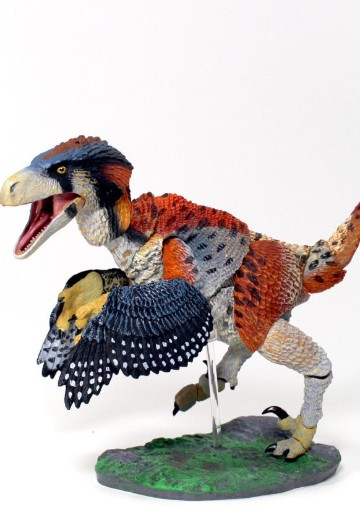 艾伯塔驰龙（粉丝选择）– 1/6可动玩偶（第二批） | Hpoi手办维基