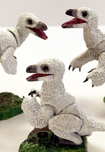 雏鸟3只装-白色- 1/6可动玩偶