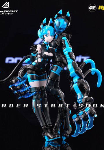 AnimaCircuit 索拉猫猫