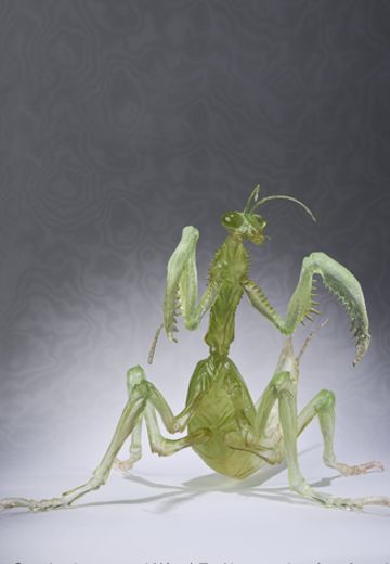 FiguartsZERO 范马刃牙 螳螂