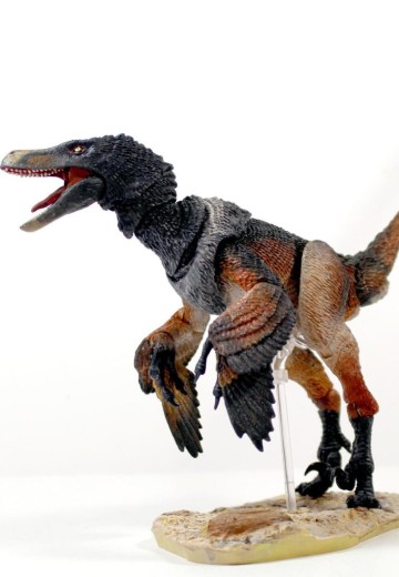 蒙古伶盗龙(黑色)- 1/6可动玩偶 | Hpoi手办维基