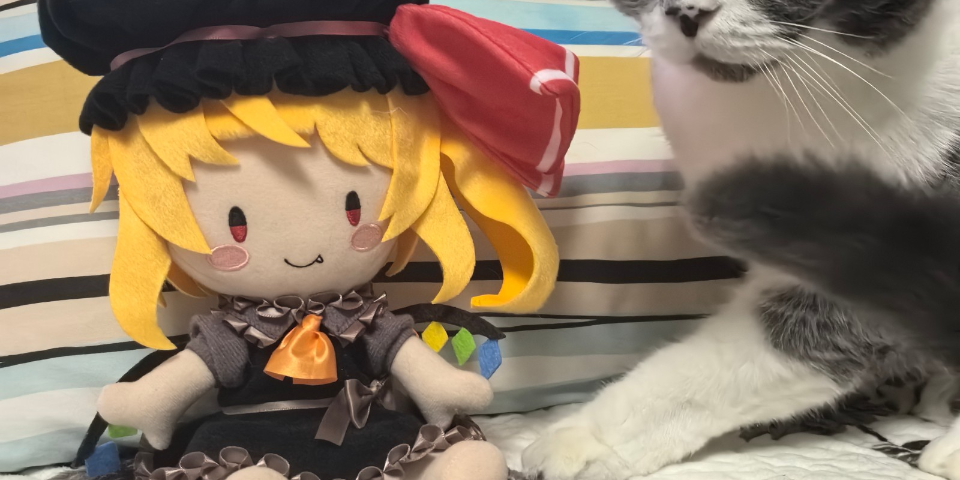 豆豆眼芙兰～～