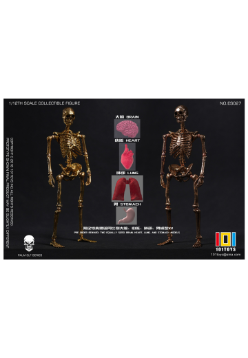 骷髅骨架素体 限定黄金版/玫瑰金版 | Hpoi手办维基