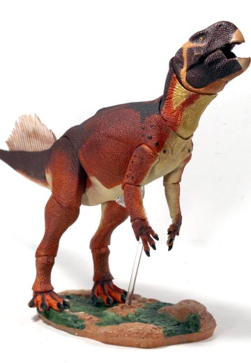 蒙古鹦鹉嘴龙 1/6可动玩偶 | Hpoi手办维基