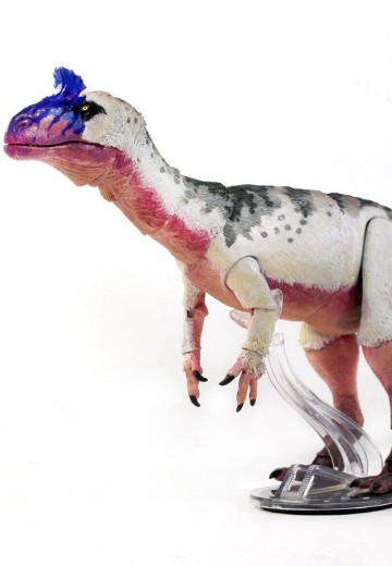 艾氏冰脊龙– 可动玩偶