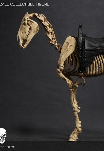 掌上精灵系列 骷髅骨架可动马 | Hpoi手办维基