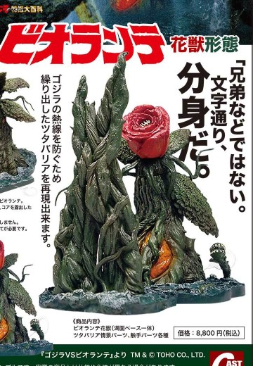 碧奥兰蒂花兽形态