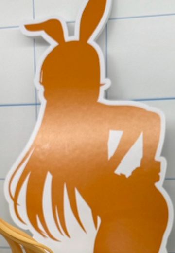 B-style 食戟之灵 薙切绘里奈 兔女郎 【1/3尺寸】