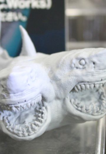 中等尺寸系列 双头鲨 | Hpoi手办维基