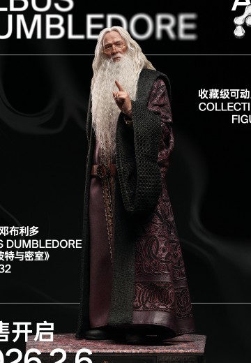 哈利·波特与密室 阿不思·邓布利多