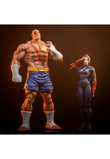 915331 街霸 沙加特＆尤莉 | Hpoi手办维基